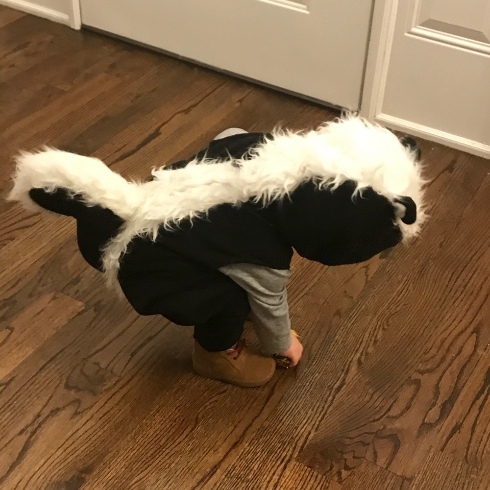 Pottery Barn Kids Baby Skunk Costume